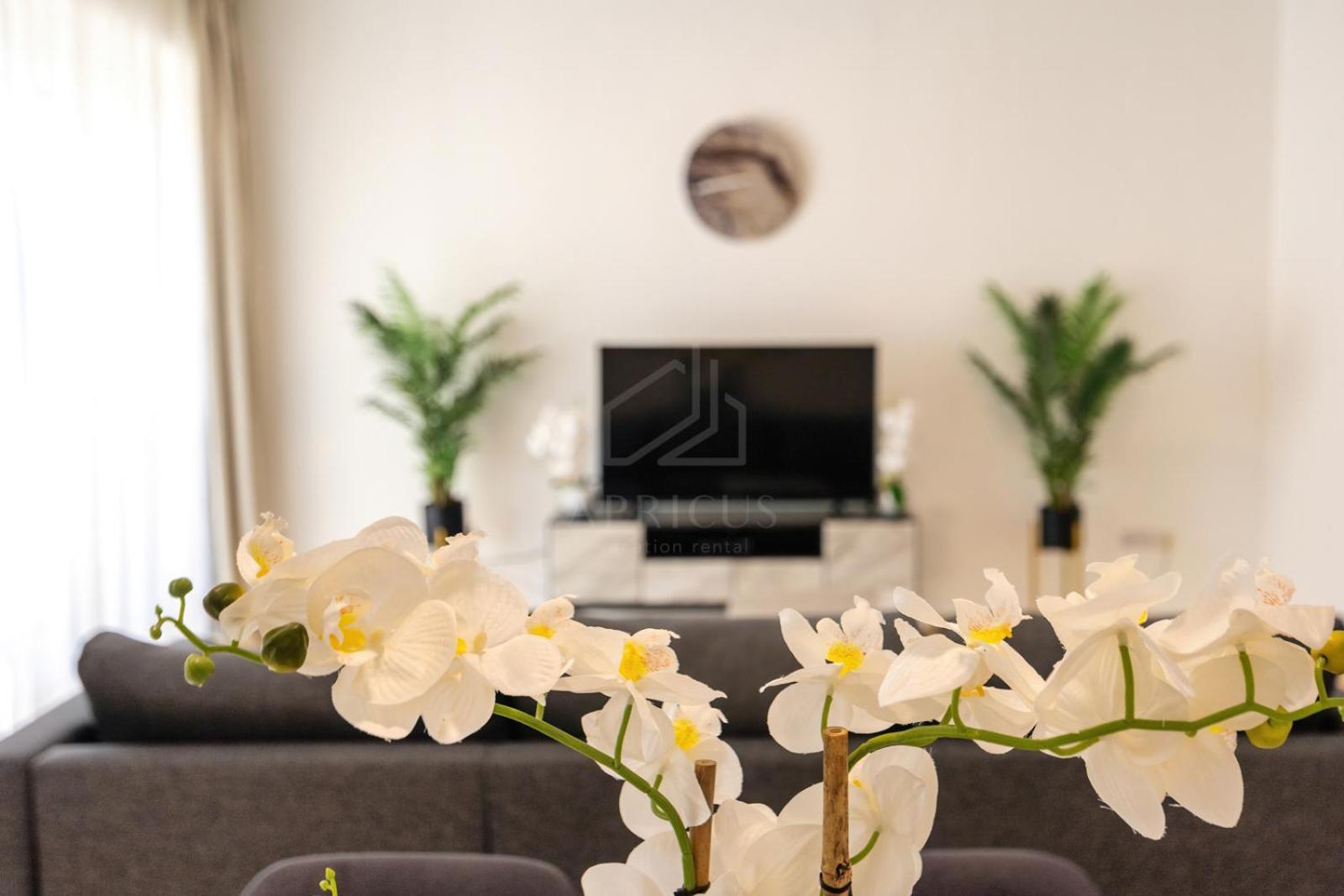 Brand New Rimal 2Bd In Front Of The Jbr Beach Dubaj Kültér fotó